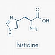 L-Histidín