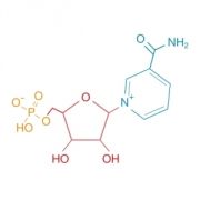 β-nikotínamid