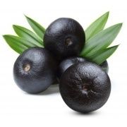 Acai Berry