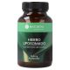 Lipozomálne železo 28 mg s vitamínmi 60 kapsúl