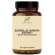 Boswellia serrata extrakt 90 kapsúl