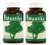 Chioská masticha 500 mg 60 kapsúl 2 balenia